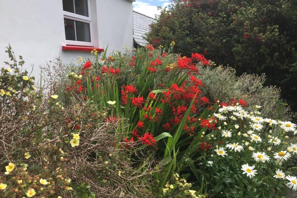 Red Stonecutters Cottage, Doolin Carrowauff Exterior foto